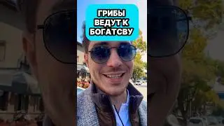 СЕКРЕТНАЯ ФОРМУЛА ГРИБОВ