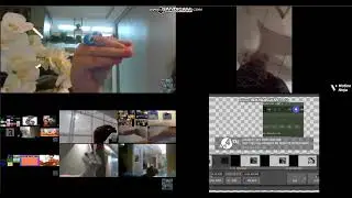 annoying goose 72 parison