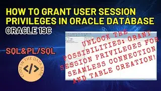 Basic SQL: Granting User Privileges to Login to a Database