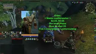 Free Leatherworking Knowledge Hidden Master Erden Dragonflight WoW