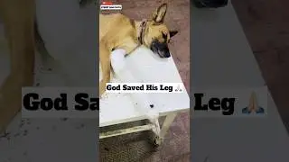 God Saved His Leg 🙏🏻 | 