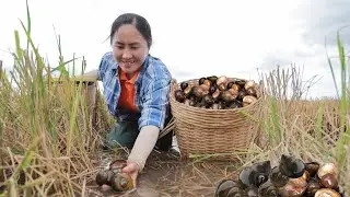 Solo survival in the forest | Catch snails in the streams and go to market sell | Emma Daily Life