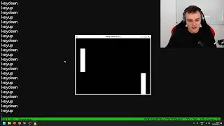 Coding Pong in C from Scratch | Drawing to a Window | Ep. 1