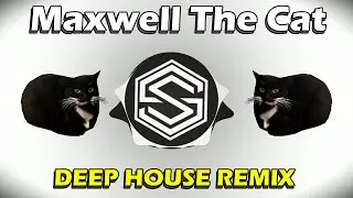 Maxwell The Cat Theme (SAMString Remix)