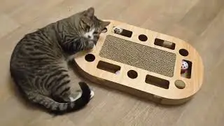 The Cat Бегемот часть 2 прикольный Кот
