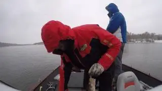 Ока октябрь