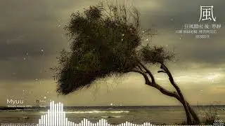 Myuu - Wind's Wreck 2014