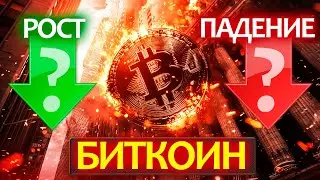 БИТКОИН - почему вырос и какие самые благоприятные месяца для альтсезона?