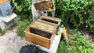 Transfer another swarm ￼