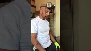 Dry Rot Solution