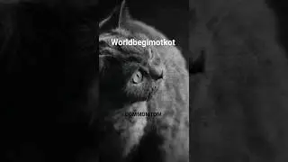 Что это вылезло из тумана ? 