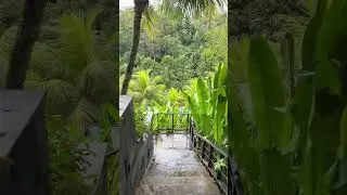 MEMORIES FROM BALI
