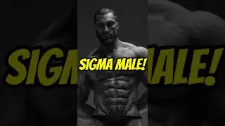 What is Sigma male? 