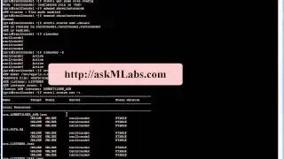 flex cluster flex asm useful commands