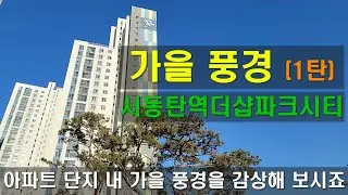 서동탄역 더샵 파크시티와 외삼미소공원, 근린공원, 외삼미저수지 가을 풍경 한번보시죠... (1탄)