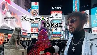 Погружение в Токио🇯🇵 | Ночные огни и дневные мечты | Часть 1