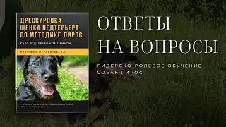 Стрим 94. Ответы на вопросы