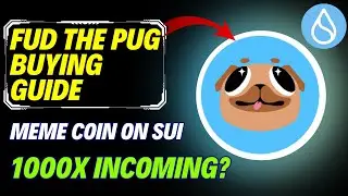 How To Buy FUD the PUG Meme Coin on SUI Network | Step-By-Step Guide