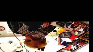 IDIOTEN (llunirum remix)