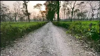 Empty roads
