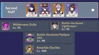 Raiden Durin Overload vs Abyss 6.3 Second half