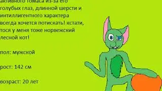 разные котята-разные характеры