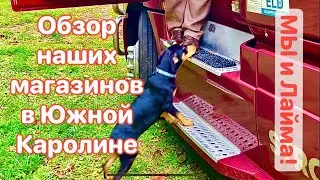 Собачья жизнь в Америке-2. Дрессируем Лайму вместе! Когда муж дома: 