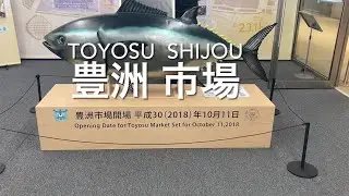 Amazing Asia - Large Tuna fish in Toyosu Market, Japan
