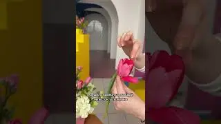 Почему бы не вывернуть еще и тюльпаны?)) #тюльпаны