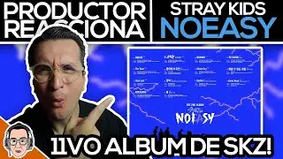 DISCOGRAFIA DE SKZ EP. 11! | Productor REACCIONA Al Álbum 