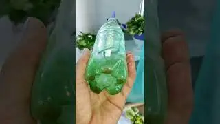 Вода для полива Фиалок! Какую лучше использовать?