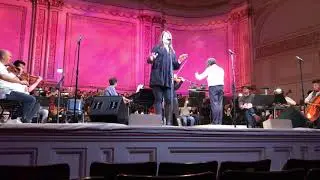 Beneath the Wing of an Angel - Amy Petty (Tim Janis)