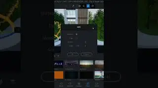 Importing plants in Twinmotion