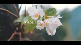 Nam Tok Ngao [อุทยานแห่งชาติน้ำตกหงาว]