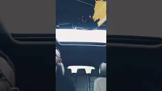 SNIPPET CheatOz 