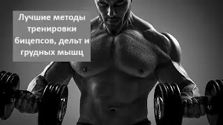 Лучшие методы тренировки бицепсов, дельт и грудных мышц