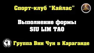 Вин Чун. Сиу Лим Тао (Siu Lim Tao) Wing Chun
