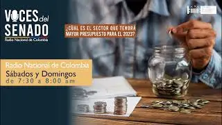 Ley de Presupuesto I #vocesdelsenado sábado 22 de octubre