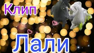 |Wildcraft| Клип Лали - JONY