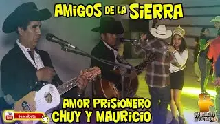 Trio Amigos de la Sierra 🎻 Castillo Dorado  Chuy y Mauricio