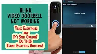 How To Fix Blink Doorbell Not Working? Proven Trick.
