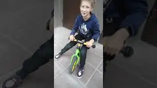 Акулёнок