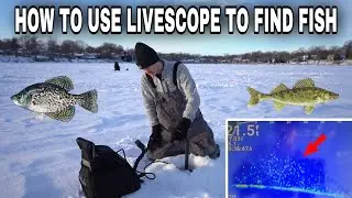 How to Use Garmin Livescope Plus To Find & Catch Fish!