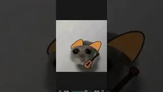 (^••^) симба теперь хомяк(^••^) -_-