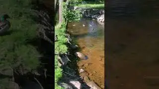 Приозерск