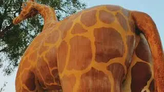 Public Park Talhar | Cinematic Short