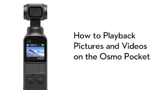 How to Playback Pictures and Videos on the Osmo Pocket