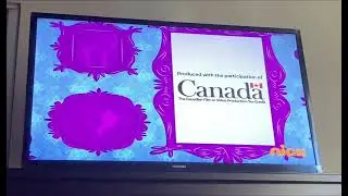 YTV/Nelvana (2006)