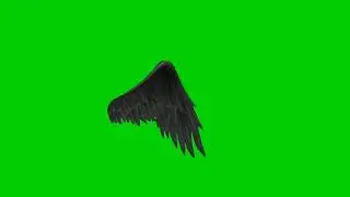 My Feather Green Screen Effect Video Shoulder Feather Effect Green Screen Effects