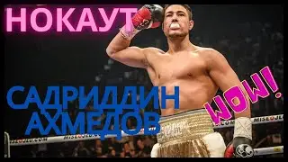 Садриддин Ахмедов нокаутировал Антонио Тодда